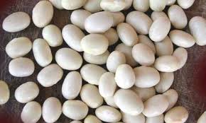 FAGIOLO COCCO BIANCO RAMPICANTE GR.100